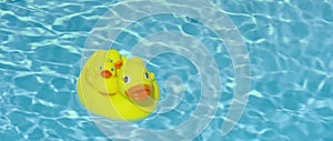 Yellow squeaky ducky family in the pool