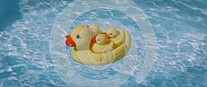 Yellow squeaky ducky family in the pool