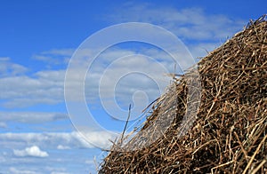 Yellow stack of straw