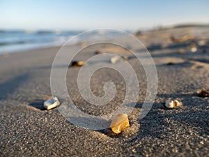 Yellow stone on a sandy beach in the evening sun