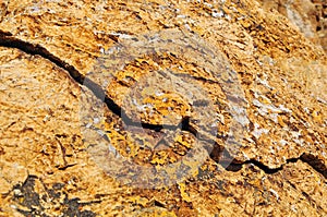 Yellow stone texture from Altai rocky moumtains