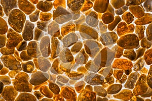 Yellow Stone Texture Background