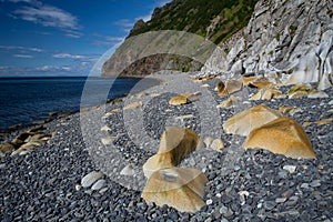 Yellow stones on the seashore.