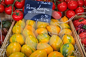 Yellow striped Remy Longue de Provence plum tomatoes, a market in Antibes France