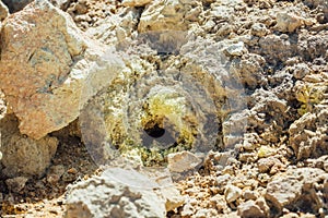 Yellow sulfur crystals at Nisyros volcano
