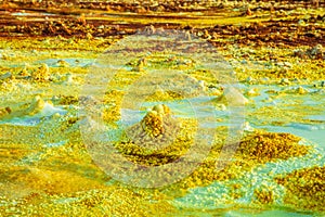Yellow sulphur fields forms in the volcanic landscape  of Danakil Depression desert, Afar region, Ethiopia photo
