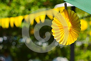 Yellow summer garden party festive decorations