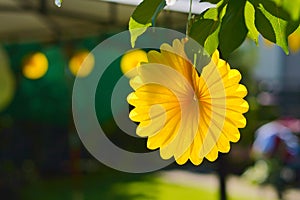 Yellow summer garden party festive decorations