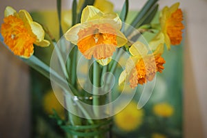 Yellow sun flowers