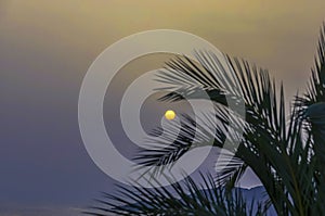 Yellow Sun. Sky in the background. Copy Space