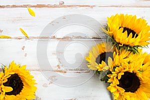 Yellow Sunflower Bouquet on White Rustic Background