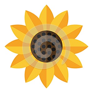 Yellow Sunflower Flat Icon Isolated on White