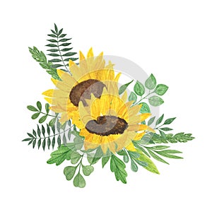 Yellow sunflower, leaves arrangement watercolor hand drawn floral illustration, summer field agricultural plant, flower and leaf,