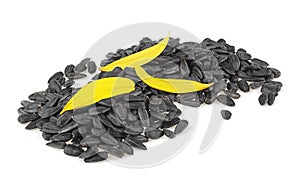 Yellow sunflower petals and seeds of sunflower isolated on white background