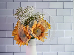 Yellow sunflowers and white babies breath in a white ceramic simple vase against a white subway tile background.  Fresh cut bright