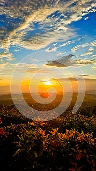 Yellow sunset viewed from above a hill.