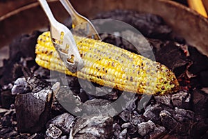 Yellow sweet corn roasted on fire from black carbons