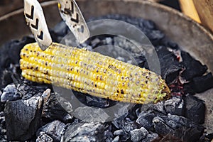 Yellow sweet corn roasted on fire from black carbons