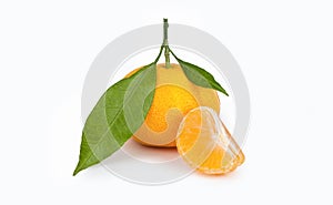 yellow sweet isolated peeled and whole mandarin clementine tangerine on white copy space with leaf. Tangerines background con
