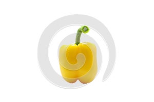 Yellow sweet pepper in white background