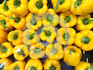 Yellow sweet peppers