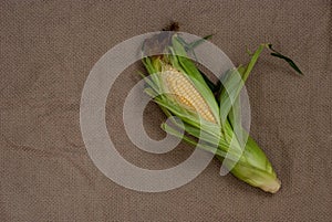 Yellow sweet raw corn with opened green leaves on a package on a textile background close-up