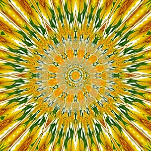 Yellow symbol dandelion sun kaleidoscope