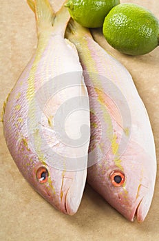 Yellow Tail Snappers and Limes