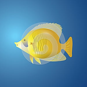 A yellow tang illustration.. Vector illustration decorative background design
