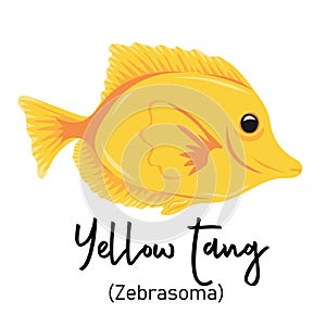 Yellow tang or zebrasoma fish. Marine dweller with colorful body and fins for swimming