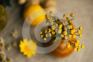 Yellow tansy flowers in wooden vase at the table with blurred lemon, ginger, chamomile flowers and herbs at linen fabric