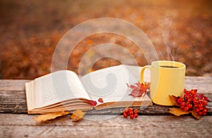 Yellow tea mug with warm scarf open book and apple