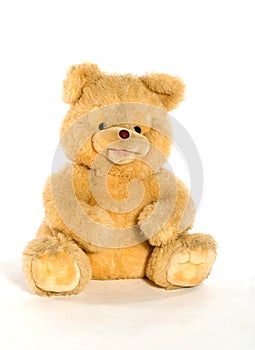 Yellow teddy bear isolated on white