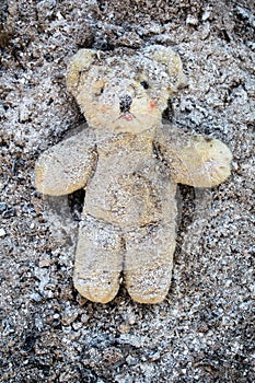 Yellow teddy bear lies wounded in a pile of ash