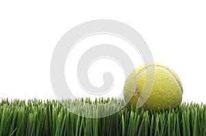 A yellow tennis ball on grass