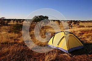 Yellow tent in the wilderness.