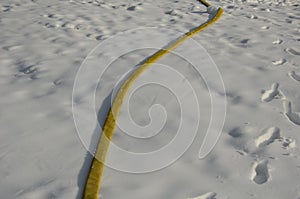 Yellow textile fire hose. it is used by ski owners to connect water to snow cannons and turbines with nozzles for the production o