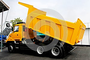 Yellow tipper photo