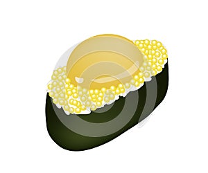 Yellow Tobiko Sushi with Uzura or Raw Quail Egg