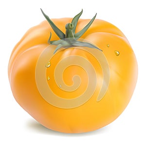 Yellow tomato