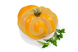 Yellow tomato and parsley twig on a white background