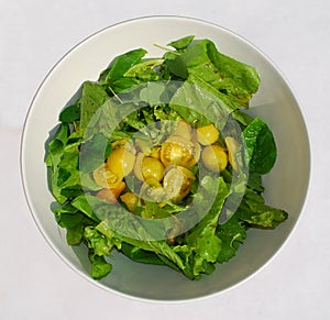 Yellow Tomato Salad Bowl