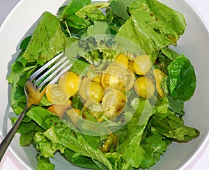 Yellow Tomato Salad Bowl With Fork