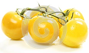 Yellow tomatoes