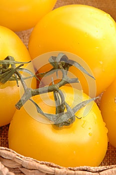 Yellow tomatoes 2