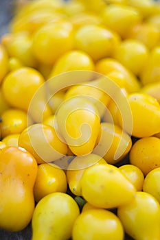 Yellow tomatoes