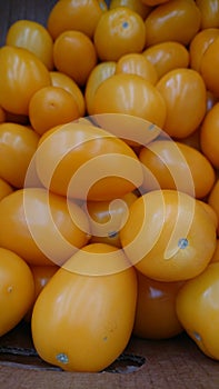 Yellow tomatoes on the grocery store counter