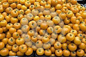 Yellow tomatoes