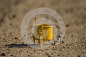 A yellow toy bike outdoors