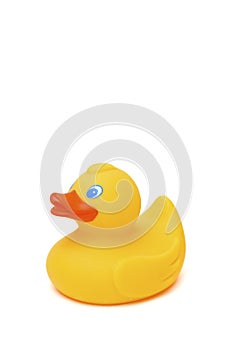 Yellow toy duck